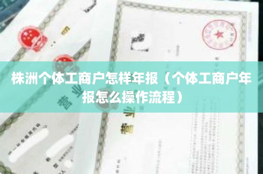 株洲个体工商户怎样年报（个体工商户年报怎么操作流程）