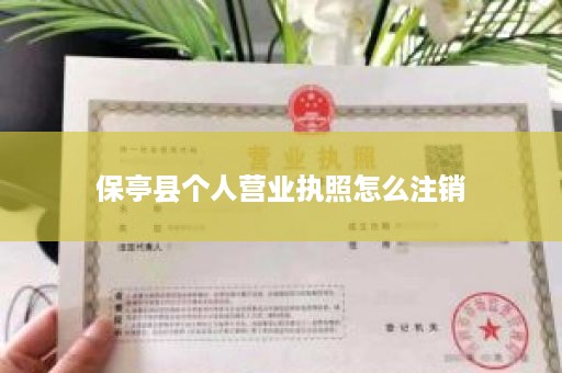 保亭县个人营业执照怎么注销