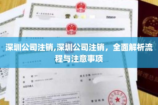 深圳公司注销,深圳公司注销，全面解析流程与注意事项