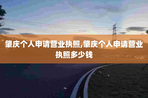 肇庆个人申请营业执照,肇庆个人申请营业执照多少钱