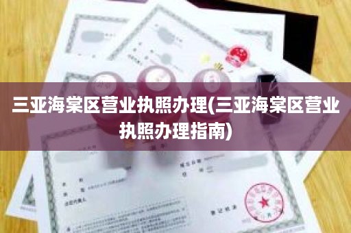 三亚海棠区营业执照办理(三亚海棠区营业执照办理指南)
