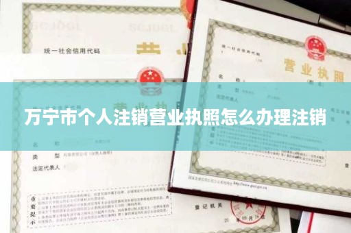 万宁市个人注销营业执照怎么办理注销