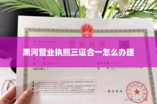 黑河营业执照三证合一怎么办理