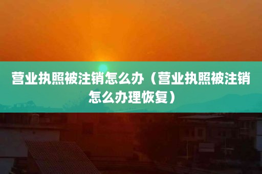 营业执照被注销怎么办（营业执照被注销怎么办理恢复）