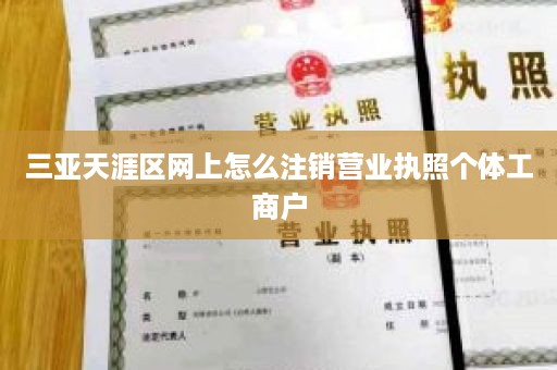 三亚天涯区网上怎么注销营业执照个体工商户