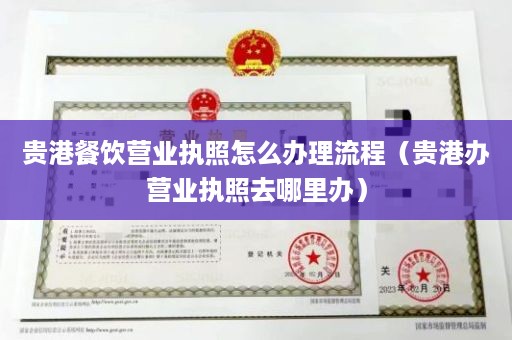 贵港餐饮营业执照怎么办理流程（贵港办营业执照去哪里办）