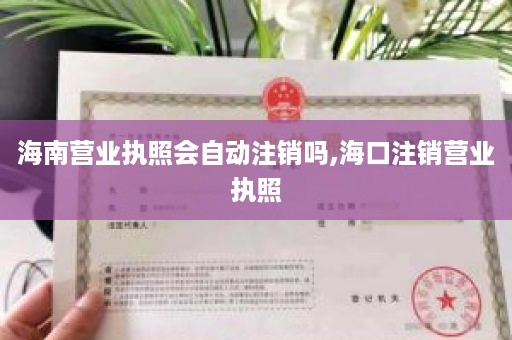 海南营业执照会自动注销吗,海口注销营业执照