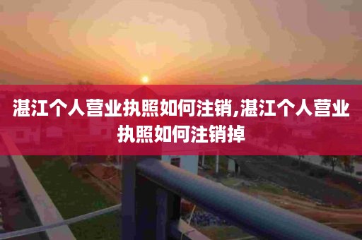 湛江个人营业执照如何注销,湛江个人营业执照如何注销掉