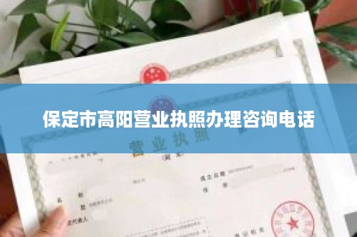 保定市高阳营业执照办理咨询电话