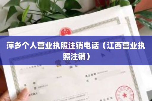 萍乡个人营业执照注销电话（江西营业执照注销）