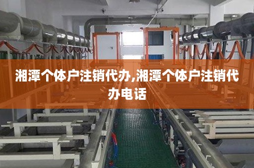 湘潭个体户注销代办,湘潭个体户注销代办电话