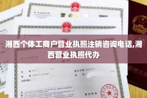 湘西个体工商户营业执照注销咨询电话,湘西营业执照代办