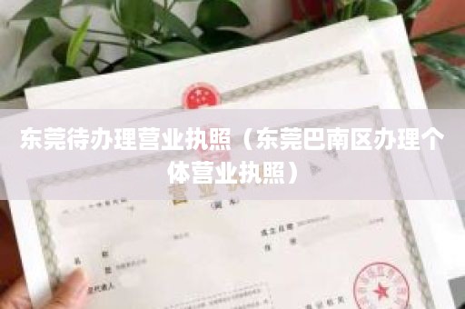 东莞待办理营业执照（东莞巴南区办理个体营业执照）