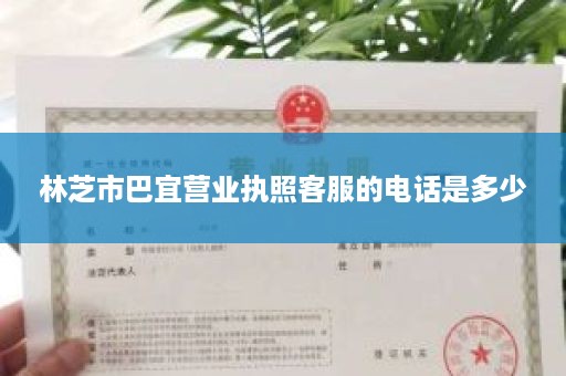 林芝市巴宜营业执照客服的电话是多少