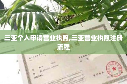 三亚个人申请营业执照,三亚营业执照注册流程