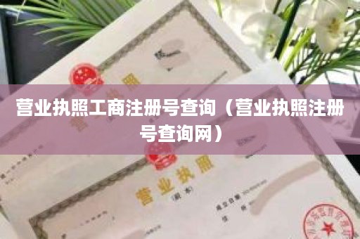 营业执照工商注册号查询（营业执照注册号查询网）