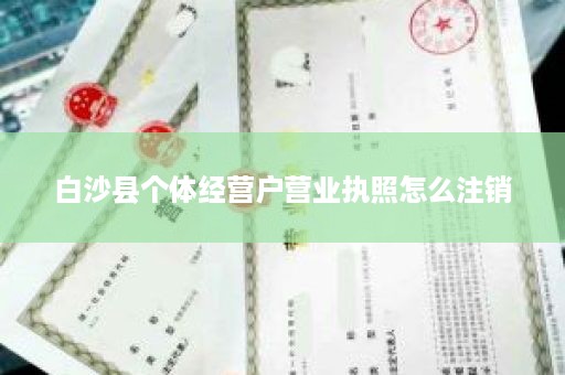 白沙县个体经营户营业执照怎么注销