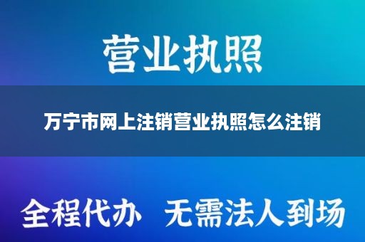万宁市网上注销营业执照怎么注销