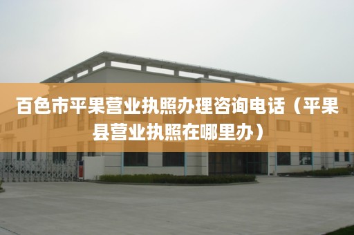百色市平果营业执照办理咨询电话（平果县营业执照在哪里办）