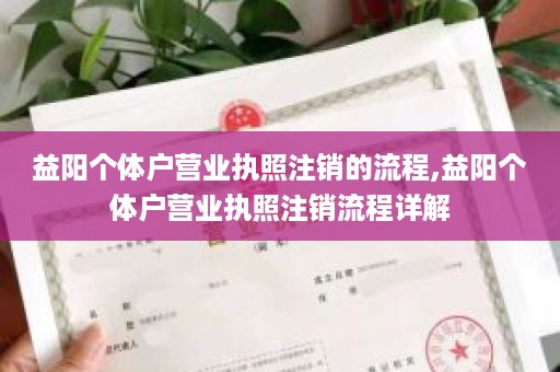 益阳个体户营业执照注销的流程,益阳个体户营业执照注销流程详解