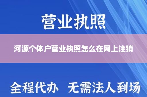 河源个体户营业执照怎么在网上注销