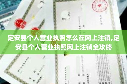 定安县个人营业执照怎么在网上注销,定安县个人营业执照网上注销全攻略