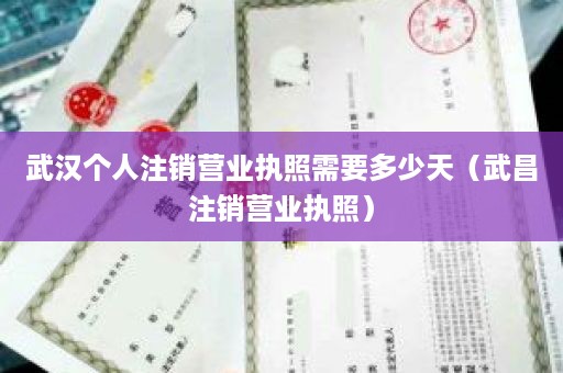 武汉个人注销营业执照需要多少天（武昌注销营业执照）