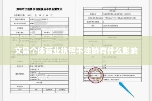 文昌个体营业执照不注销有什么影响