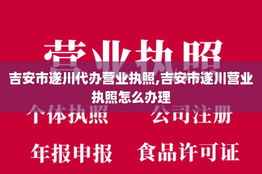 吉安市遂川代办营业执照,吉安市遂川营业执照怎么办理