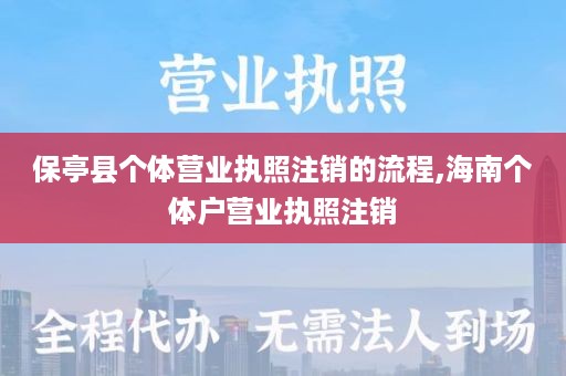 保亭县个体营业执照注销的流程,海南个体户营业执照注销