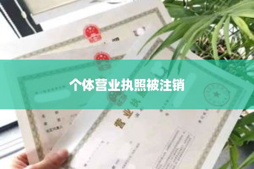 个体营业执照被注销