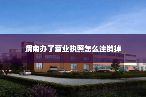渭南办了营业执照怎么注销掉