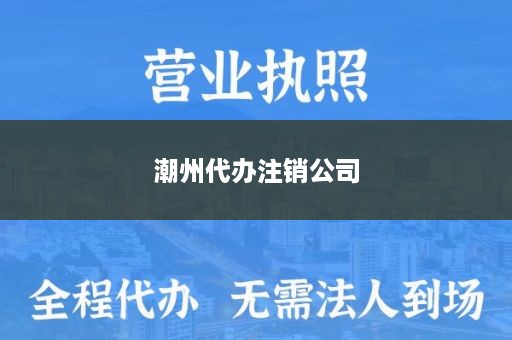 潮州代办注销公司