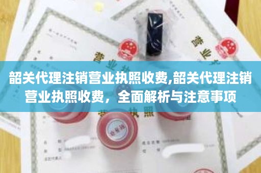 韶关代理注销营业执照收费,韶关代理注销营业执照收费，全面解析与注意事项