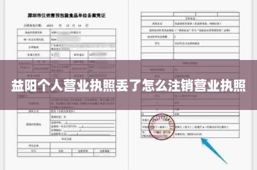 益阳个人营业执照丢了怎么注销营业执照