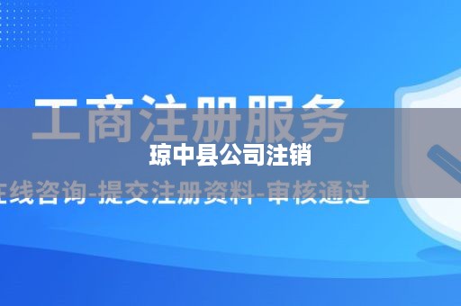 琼中县公司注销