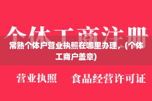 常熟个体户营业执照在哪里办理，(个体工商户盖章)