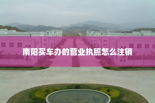 南阳买车办的营业执照怎么注销