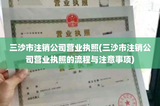 三沙市注销公司营业执照(三沙市注销公司营业执照的流程与注意事项)