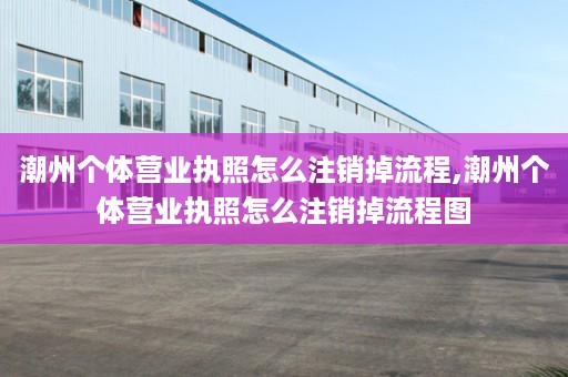 潮州个体营业执照怎么注销掉流程,潮州个体营业执照怎么注销掉流程图