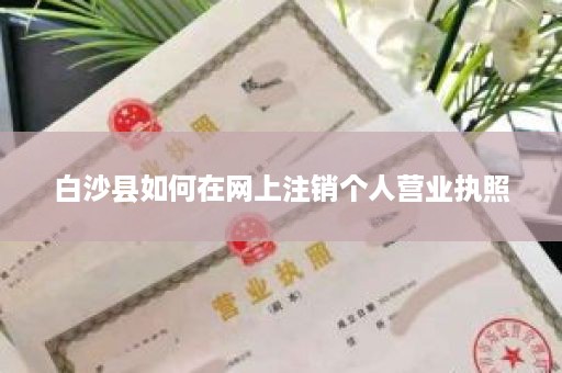 白沙县如何在网上注销个人营业执照