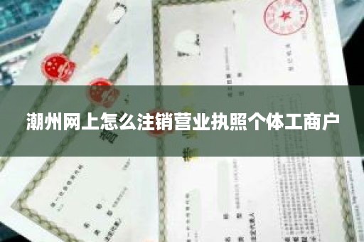 潮州网上怎么注销营业执照个体工商户