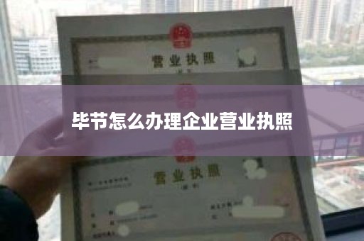 毕节怎么办理企业营业执照