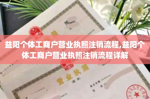 益阳个体工商户营业执照注销流程,益阳个体工商户营业执照注销流程详解