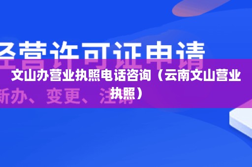 文山办营业执照电话咨询（云南文山营业执照）