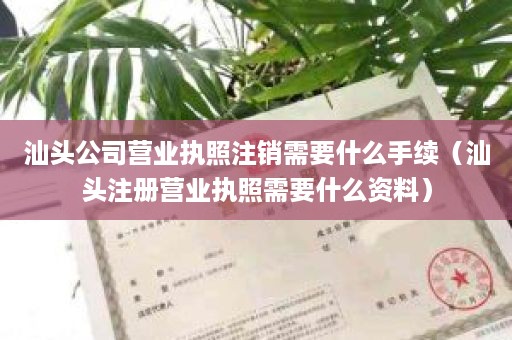 汕头公司营业执照注销需要什么手续（汕头注册营业执照需要什么资料）