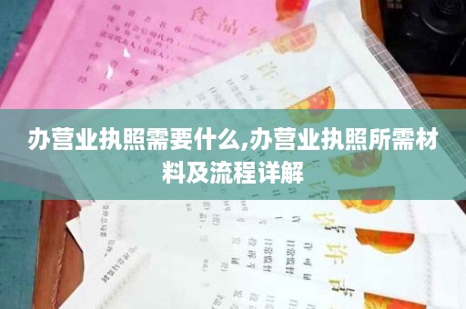 办营业执照需要什么,办营业执照所需材料及流程详解