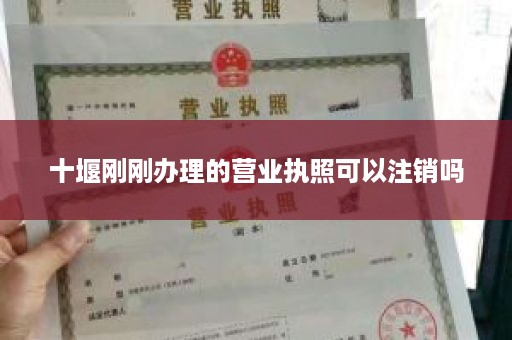 十堰刚刚办理的营业执照可以注销吗