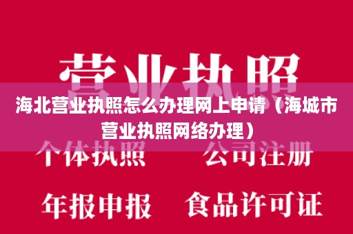 海北营业执照怎么办理网上申请（海城市营业执照网络办理）