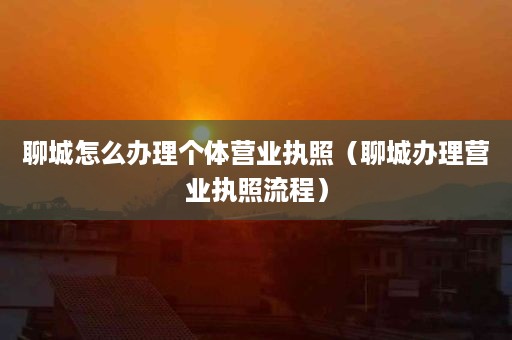 聊城怎么办理个体营业执照（聊城办理营业执照流程）